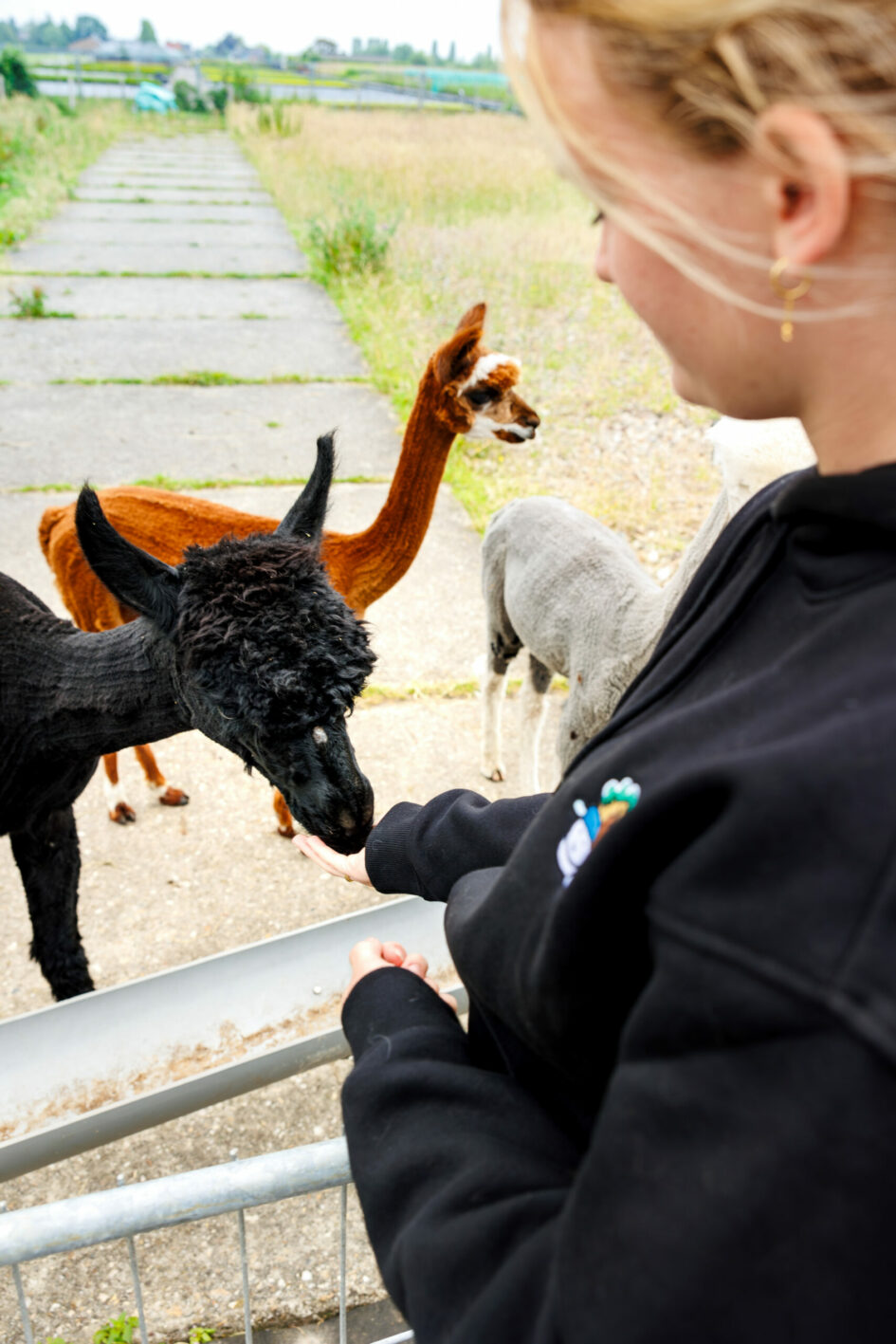 Zorgboerderij 2