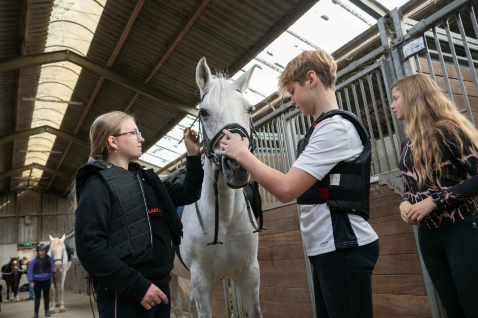 Foto paardenklas